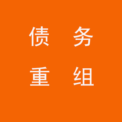 山根镇个人债务重组优化